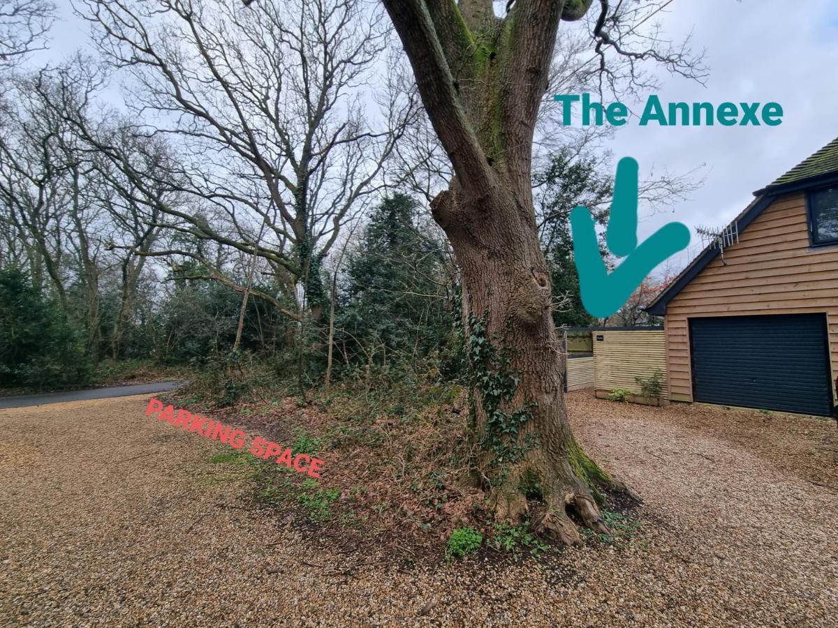 Апартаменты The Annexe - Woodland Views And Close To Beach! Бартон-он-Си Экстерьер фото